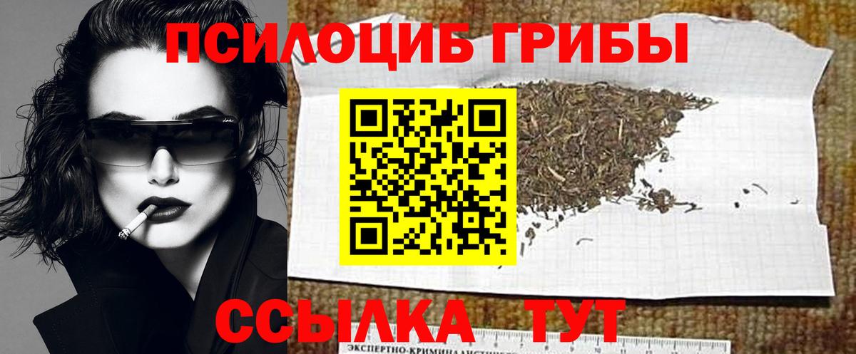 Псилоцибиновые грибы мухоморы  Псилоцибиновые грибы мицелий  Буйнакск  цены   Вход с VPN 