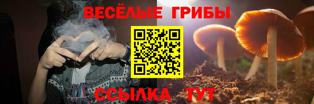 Псилоцибиновые грибы Psilocybine cubensis Буйнакск